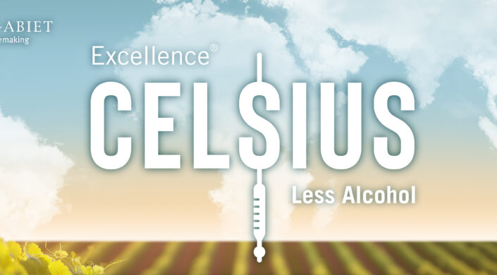 Excellence® Celsius : A solution for lowering alcohol in wines !