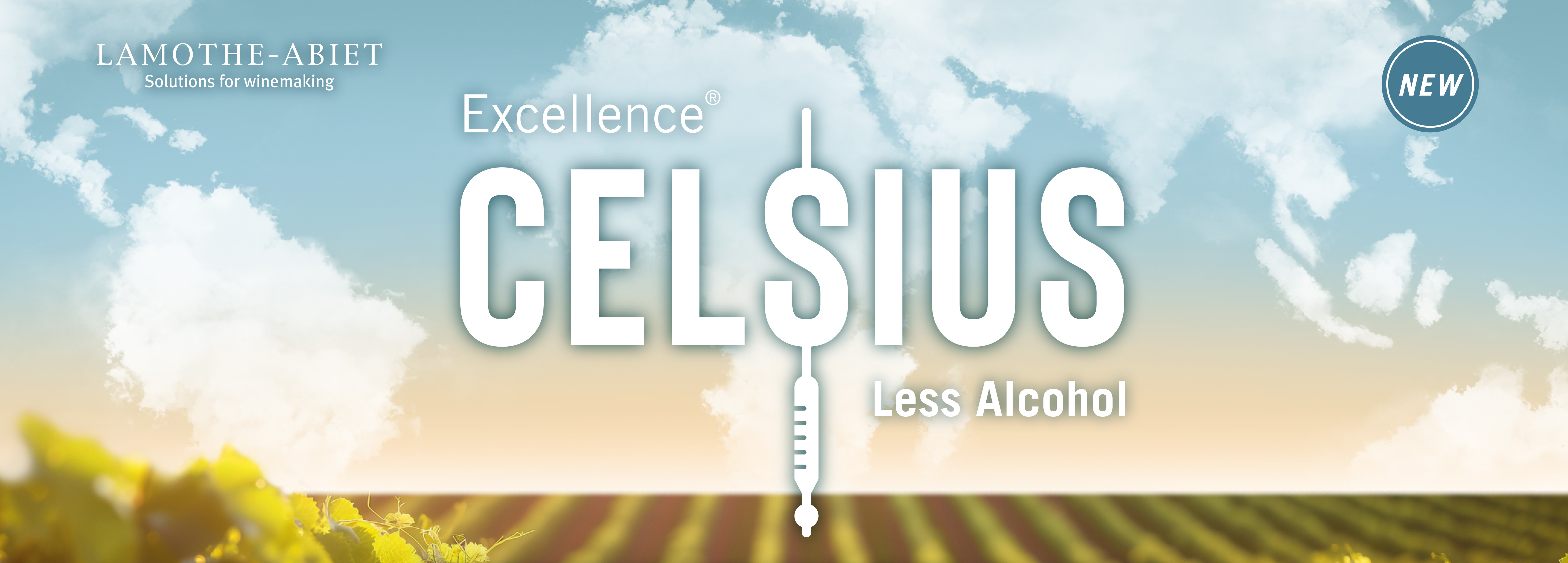 Excellence® Celsius : A solution for lowering alcohol in wines !