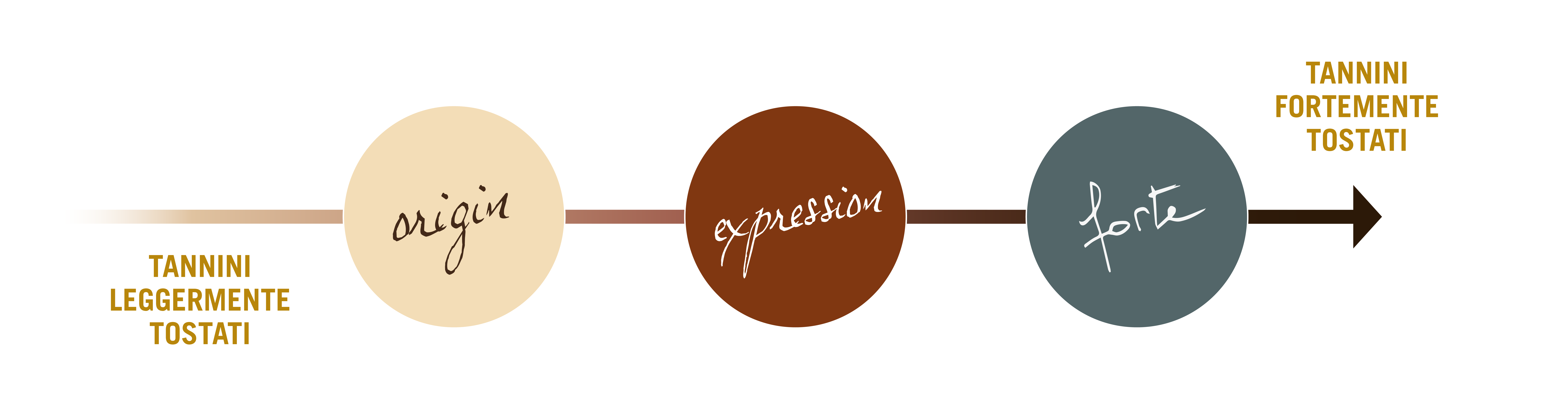 Gamma Tan&Sense® : Volume, Origin, Expression, Forte