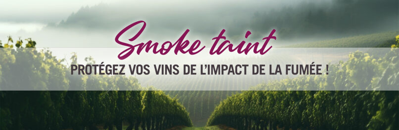 Smoke taint : comment traiter le goût de fumée dans le vin ?