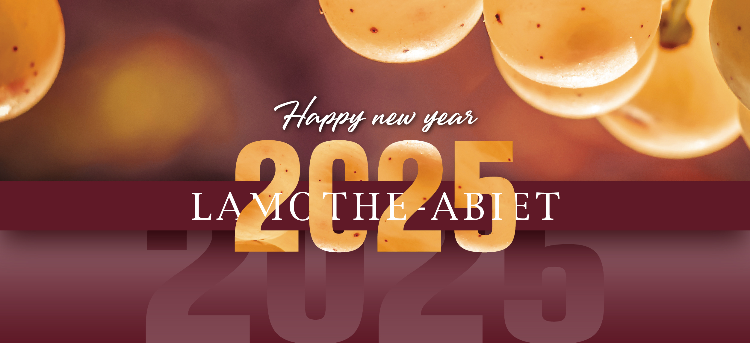 Lamothe-Abiet wishes you a happy new year!