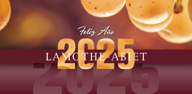 ¡Lamothe-Abiet le desea un feliz año 2025!