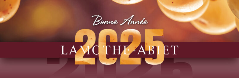 Lamothe-Abiet vous souhaite une excellente année 2025 !