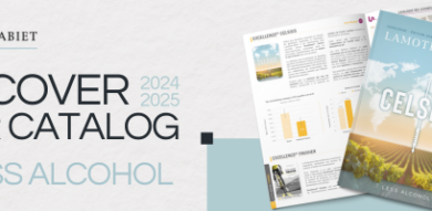 New: the 2024-2025 catalog is here!